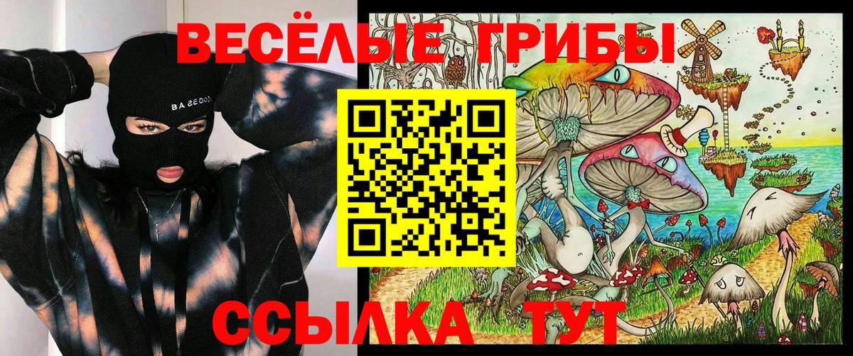 Псилоцибиновые грибы мухоморы Гусиноозёрск